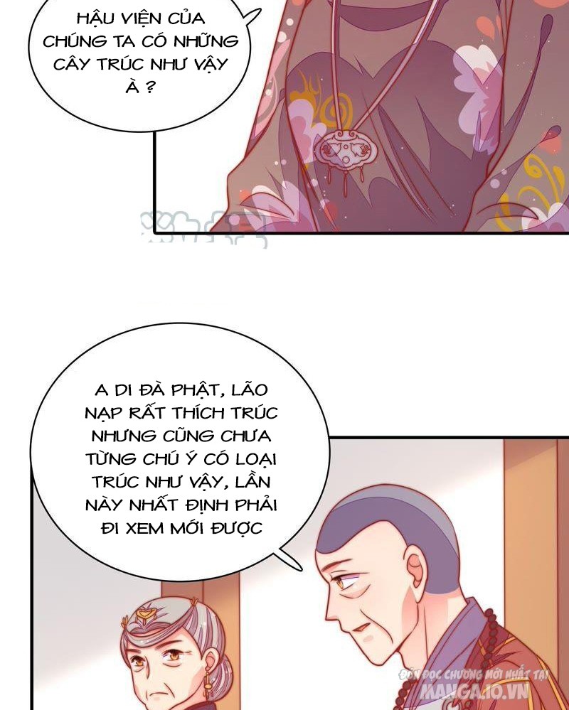 Ngày Nào Thiếu Soái Cũng Ghen Chapter 188 - Trang 2