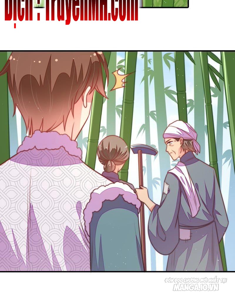 Ngày Nào Thiếu Soái Cũng Ghen Chapter 189 - Trang 2