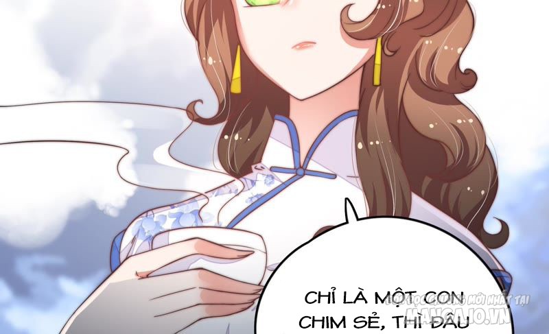 Ngày Nào Thiếu Soái Cũng Ghen Chapter 19 - Trang 2