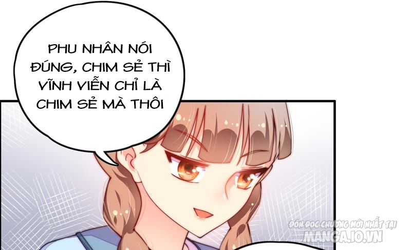 Ngày Nào Thiếu Soái Cũng Ghen Chapter 19 - Trang 2