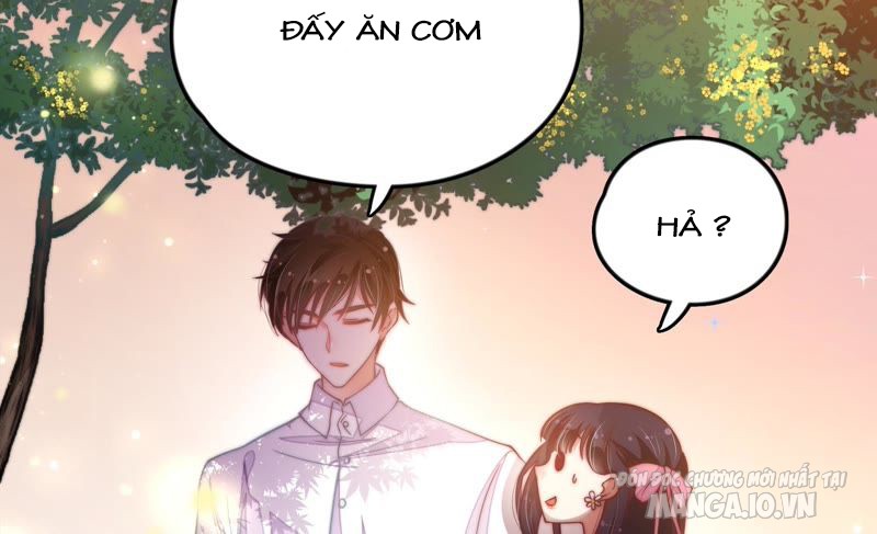 Ngày Nào Thiếu Soái Cũng Ghen Chapter 19 - Trang 2