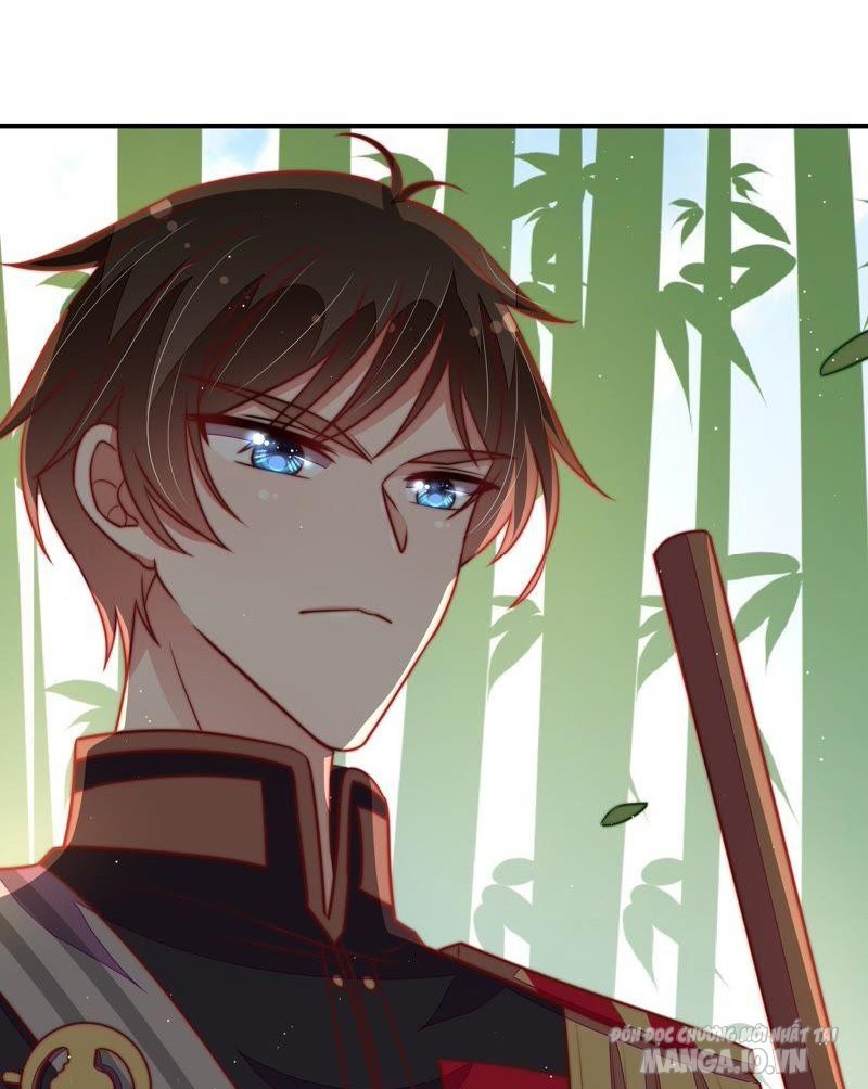 Ngày Nào Thiếu Soái Cũng Ghen Chapter 190 - Trang 2