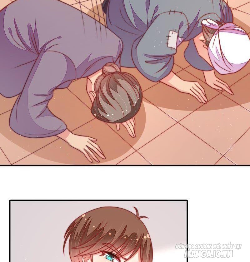 Ngày Nào Thiếu Soái Cũng Ghen Chapter 191 - Trang 2