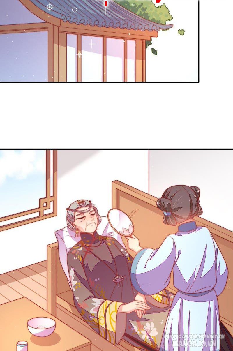 Ngày Nào Thiếu Soái Cũng Ghen Chapter 196 - Trang 2