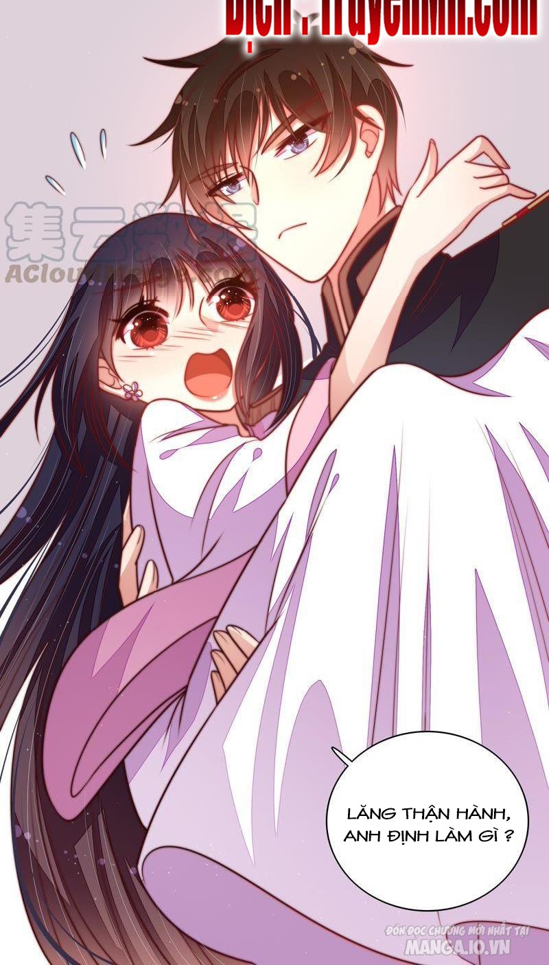 Ngày Nào Thiếu Soái Cũng Ghen Chapter 199 - Trang 2