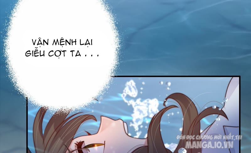 Ngày Nào Thiếu Soái Cũng Ghen Chapter 2 - Trang 2