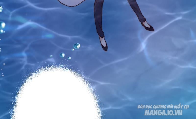 Ngày Nào Thiếu Soái Cũng Ghen Chapter 2 - Trang 2