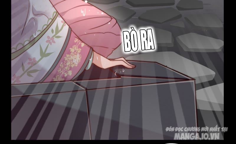 Ngày Nào Thiếu Soái Cũng Ghen Chapter 2 - Trang 2