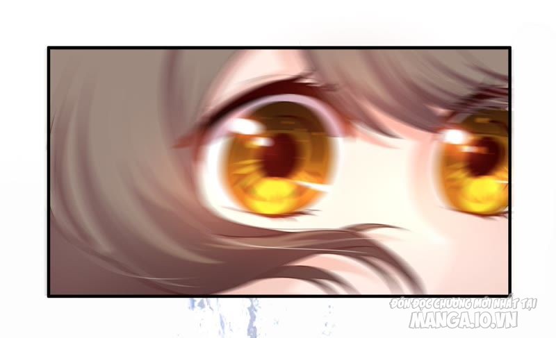 Ngày Nào Thiếu Soái Cũng Ghen Chapter 2 - Trang 2