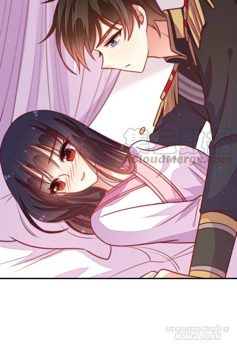 Ngày Nào Thiếu Soái Cũng Ghen Chapter 200 - Trang 2