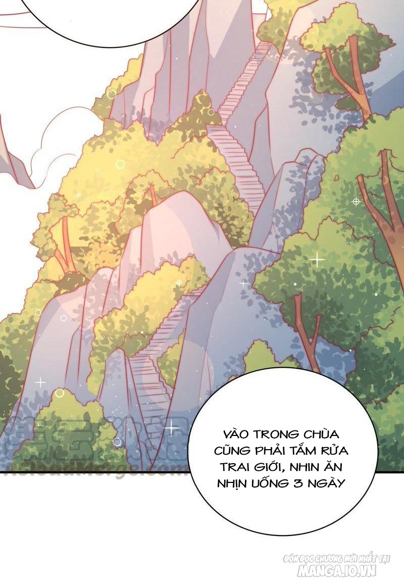 Ngày Nào Thiếu Soái Cũng Ghen Chapter 201 - Trang 2