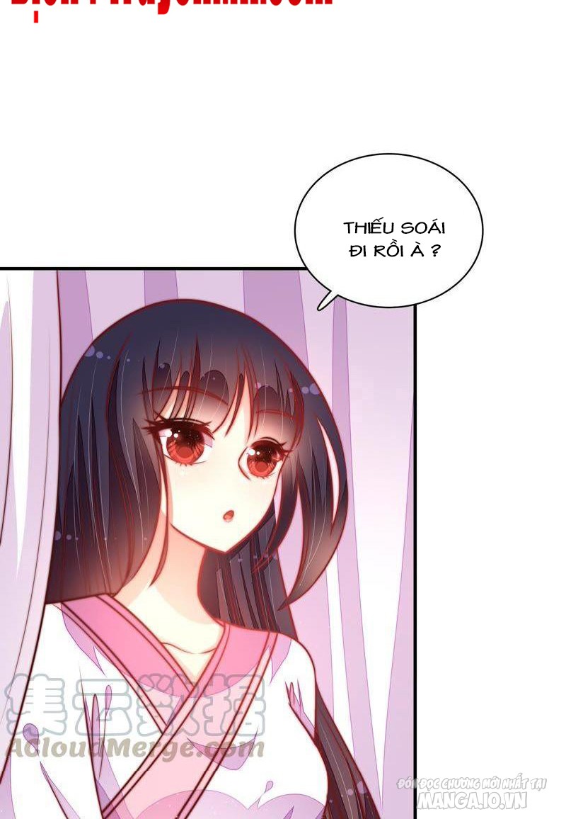 Ngày Nào Thiếu Soái Cũng Ghen Chapter 201 - Trang 2