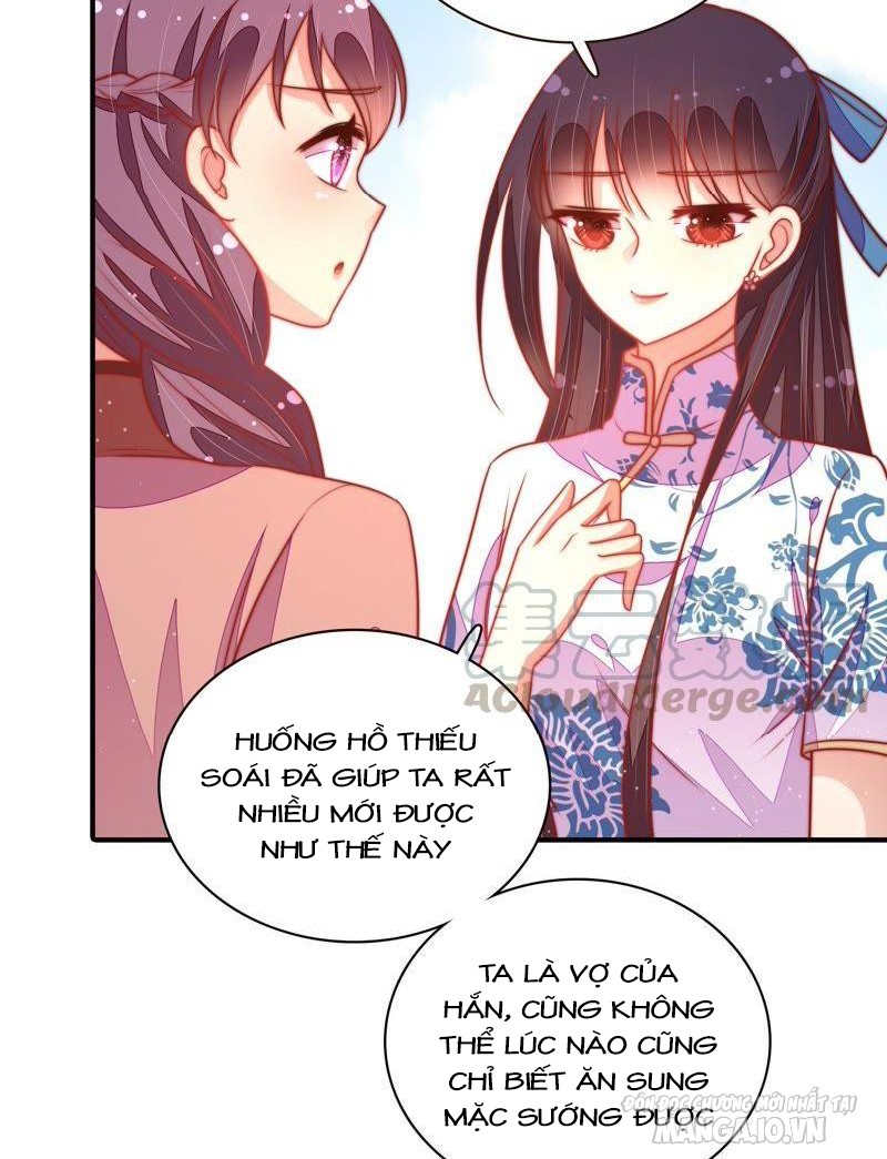 Ngày Nào Thiếu Soái Cũng Ghen Chapter 202 - Trang 2