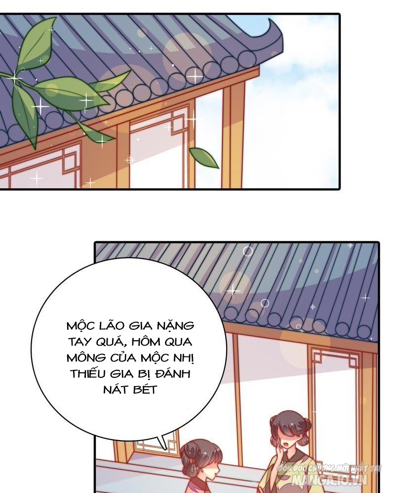 Ngày Nào Thiếu Soái Cũng Ghen Chapter 205 - Trang 2