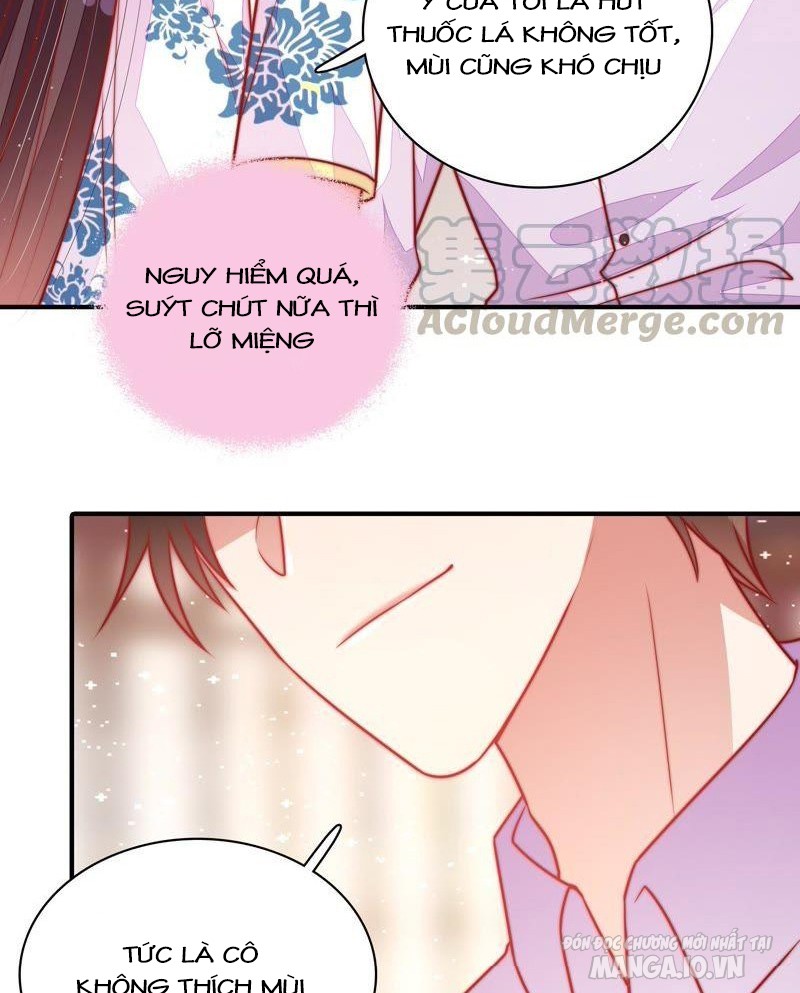 Ngày Nào Thiếu Soái Cũng Ghen Chapter 206 - Trang 2