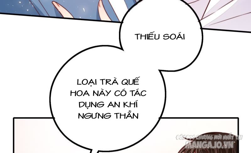 Ngày Nào Thiếu Soái Cũng Ghen Chapter 21 - Trang 2