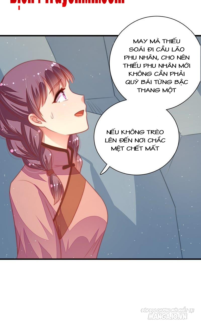 Ngày Nào Thiếu Soái Cũng Ghen Chapter 210 - Trang 2