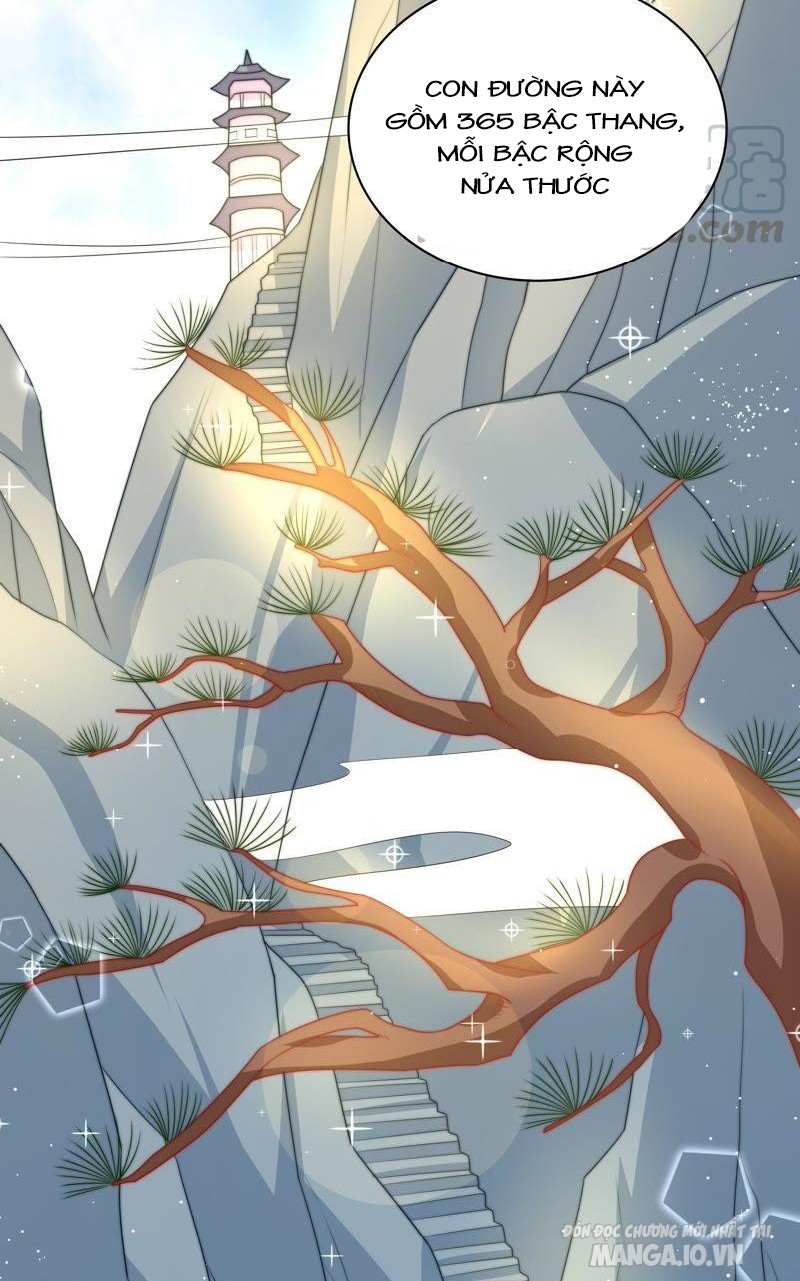 Ngày Nào Thiếu Soái Cũng Ghen Chapter 210 - Trang 2