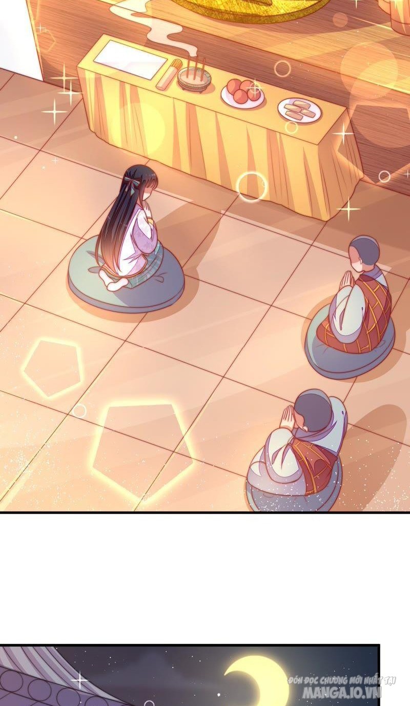 Ngày Nào Thiếu Soái Cũng Ghen Chapter 211 - Trang 2