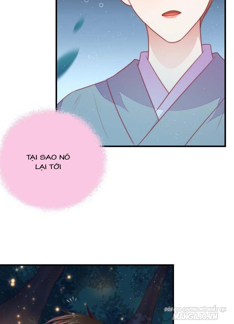 Ngày Nào Thiếu Soái Cũng Ghen Chapter 212 - Trang 2