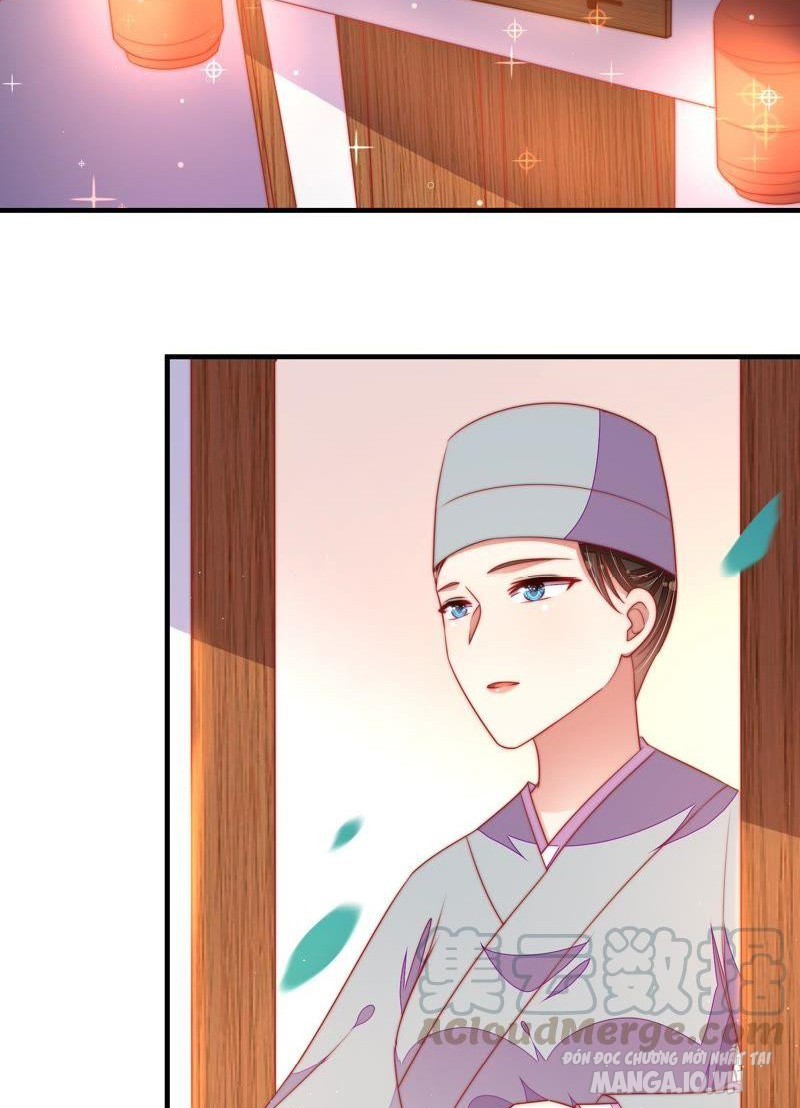 Ngày Nào Thiếu Soái Cũng Ghen Chapter 212 - Trang 2