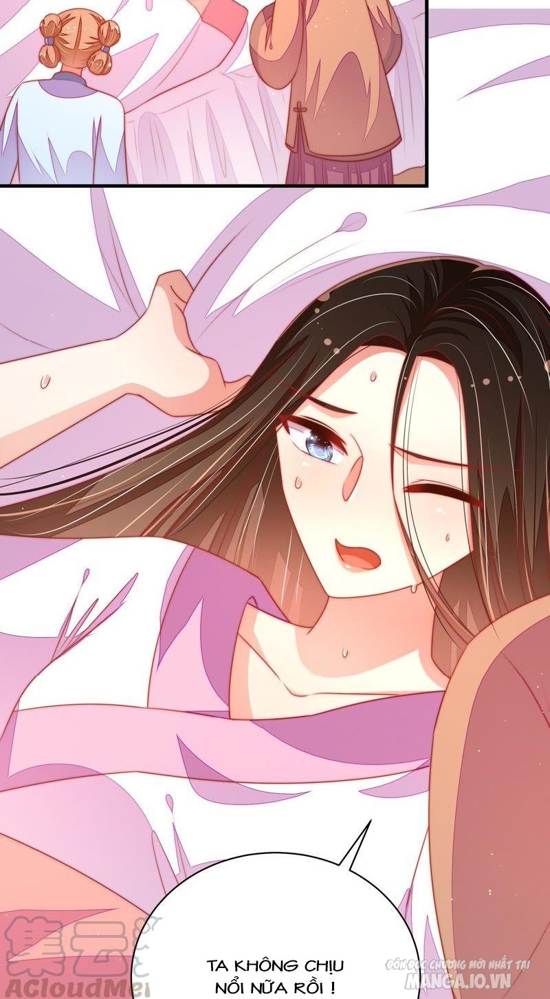 Ngày Nào Thiếu Soái Cũng Ghen Chapter 213 - Trang 2