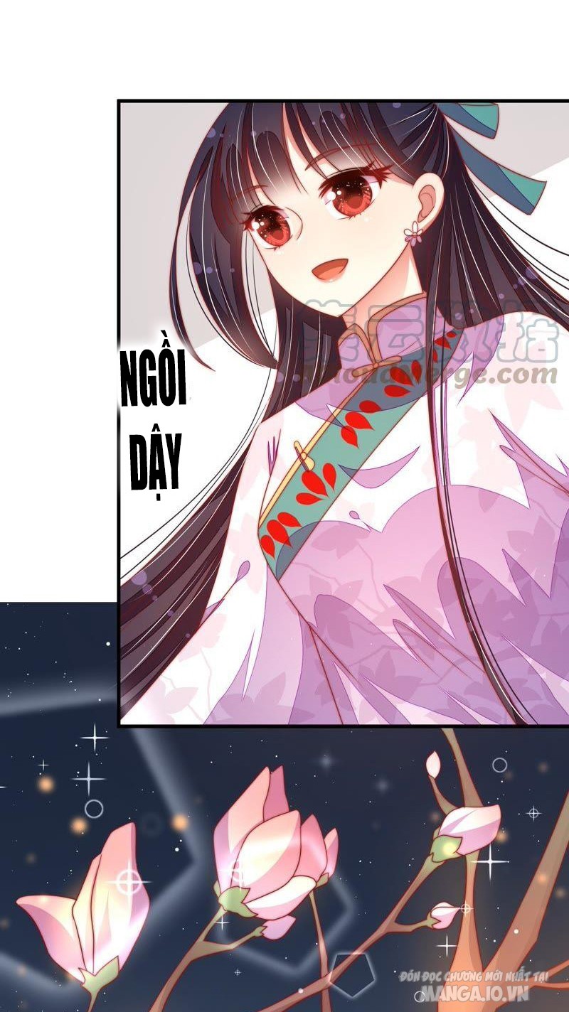 Ngày Nào Thiếu Soái Cũng Ghen Chapter 214 - Trang 2