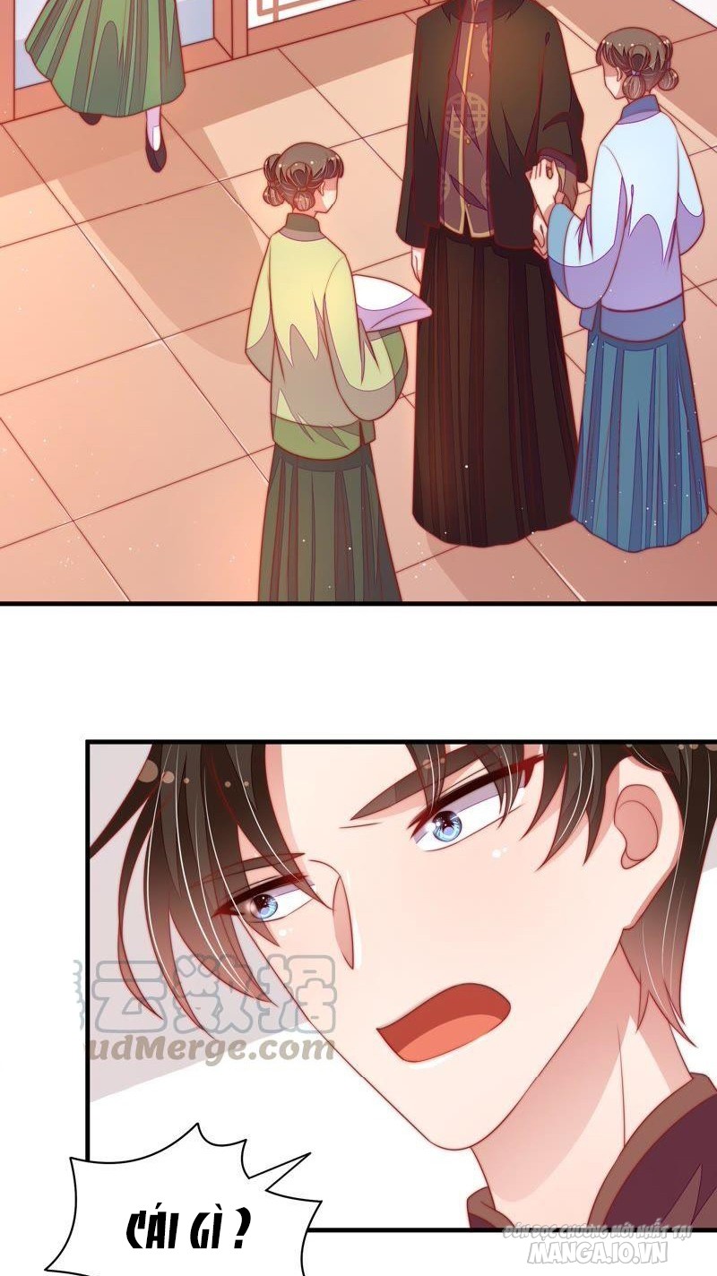 Ngày Nào Thiếu Soái Cũng Ghen Chapter 214 - Trang 2