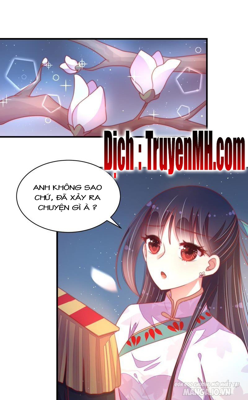 Ngày Nào Thiếu Soái Cũng Ghen Chapter 215 - Trang 2