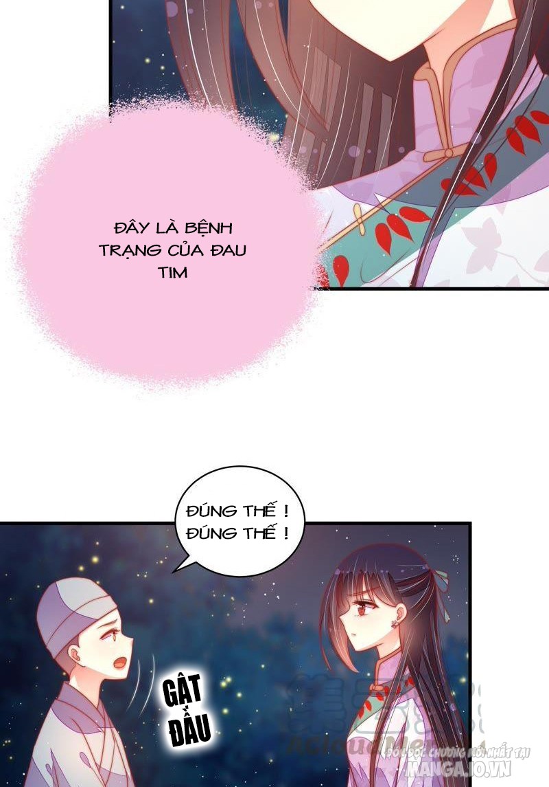 Ngày Nào Thiếu Soái Cũng Ghen Chapter 216 - Trang 2