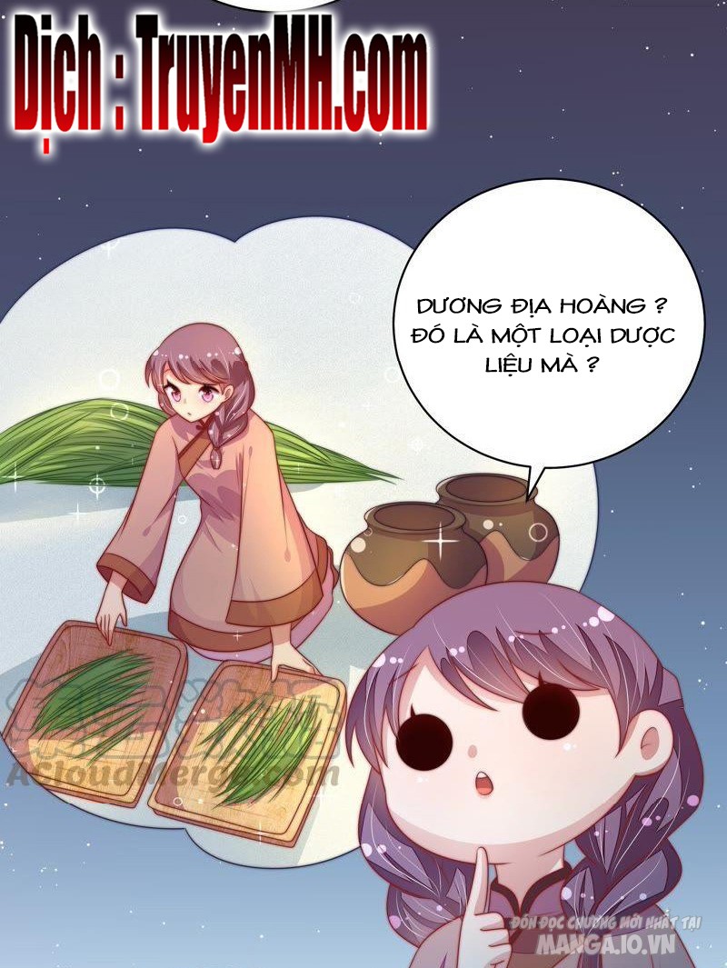 Ngày Nào Thiếu Soái Cũng Ghen Chapter 219 - Trang 2