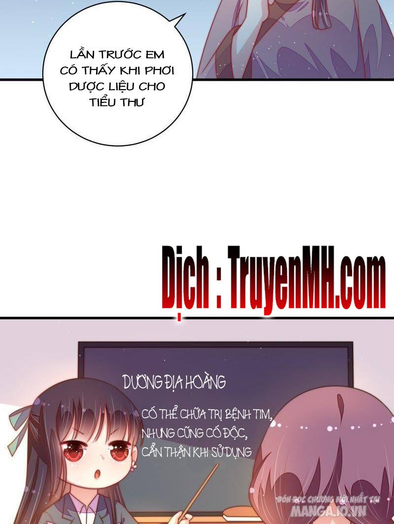 Ngày Nào Thiếu Soái Cũng Ghen Chapter 219 - Trang 2