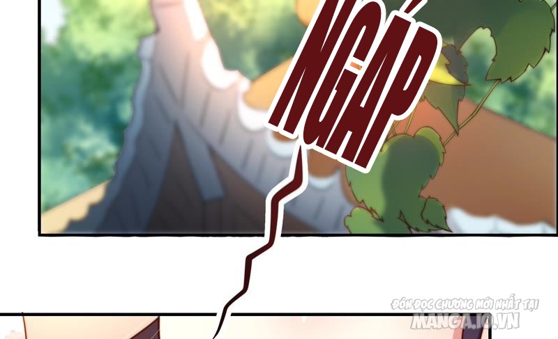 Ngày Nào Thiếu Soái Cũng Ghen Chapter 22 - Trang 2