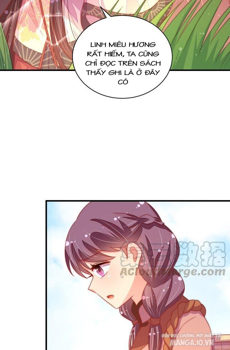 Ngày Nào Thiếu Soái Cũng Ghen Chapter 220 - Trang 2