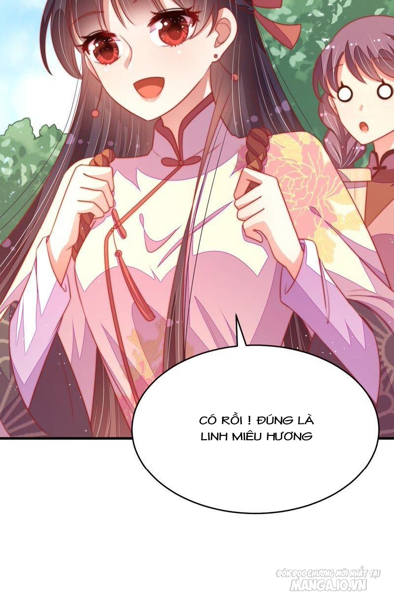 Ngày Nào Thiếu Soái Cũng Ghen Chapter 220 - Trang 2