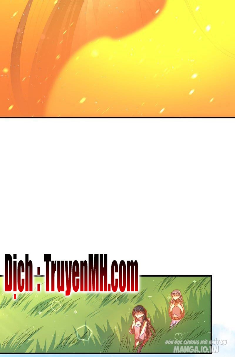 Ngày Nào Thiếu Soái Cũng Ghen Chapter 220 - Trang 2