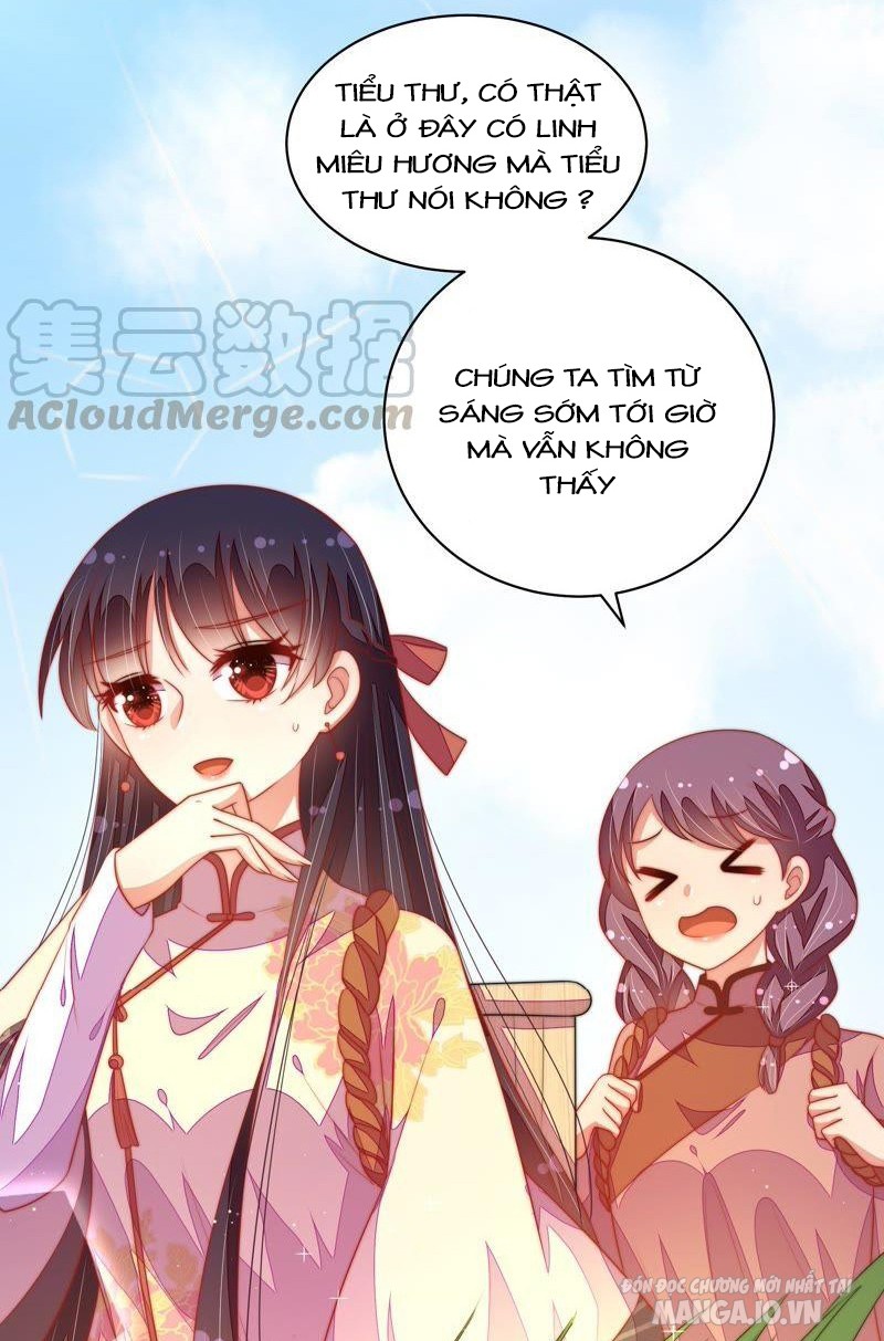 Ngày Nào Thiếu Soái Cũng Ghen Chapter 220 - Trang 2