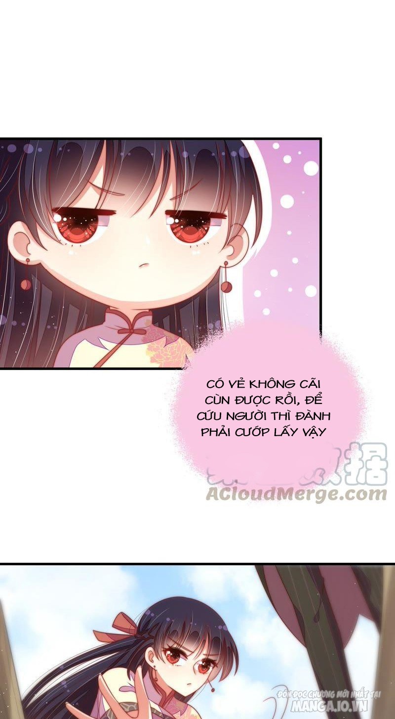 Ngày Nào Thiếu Soái Cũng Ghen Chapter 221 - Trang 2