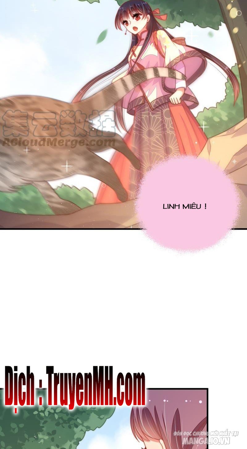 Ngày Nào Thiếu Soái Cũng Ghen Chapter 221 - Trang 2