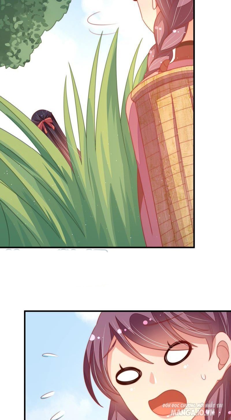 Ngày Nào Thiếu Soái Cũng Ghen Chapter 221 - Trang 2