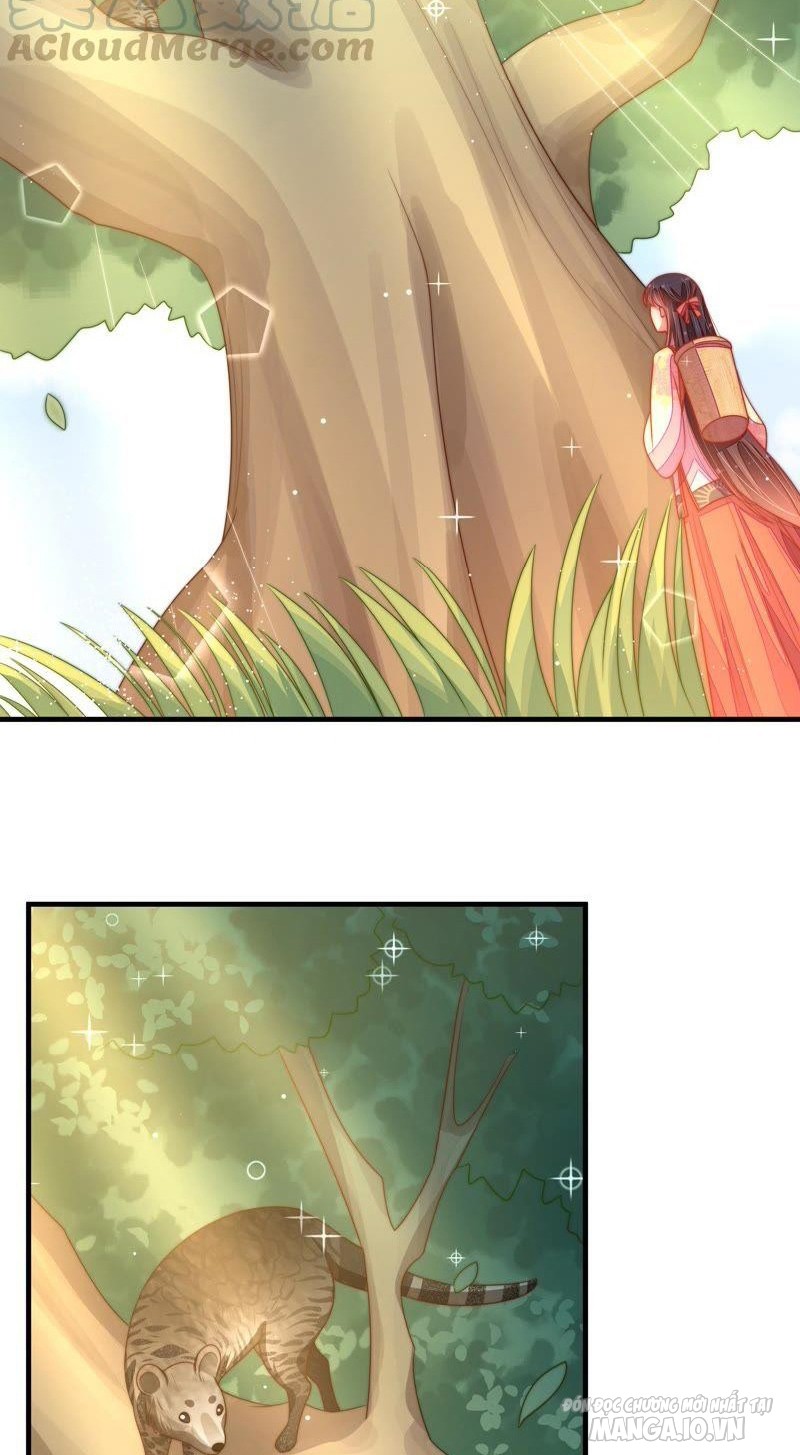 Ngày Nào Thiếu Soái Cũng Ghen Chapter 221 - Trang 2