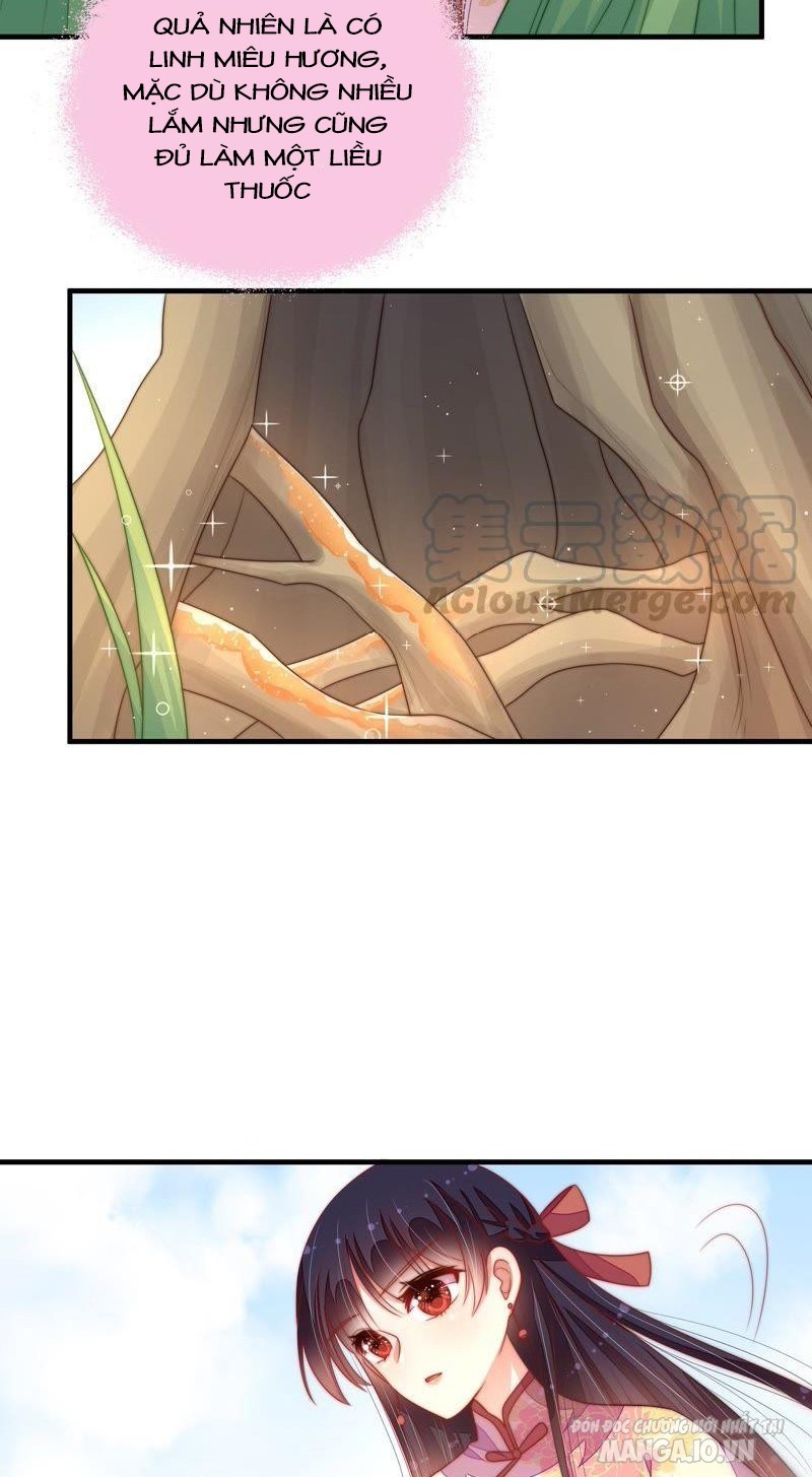 Ngày Nào Thiếu Soái Cũng Ghen Chapter 221 - Trang 2