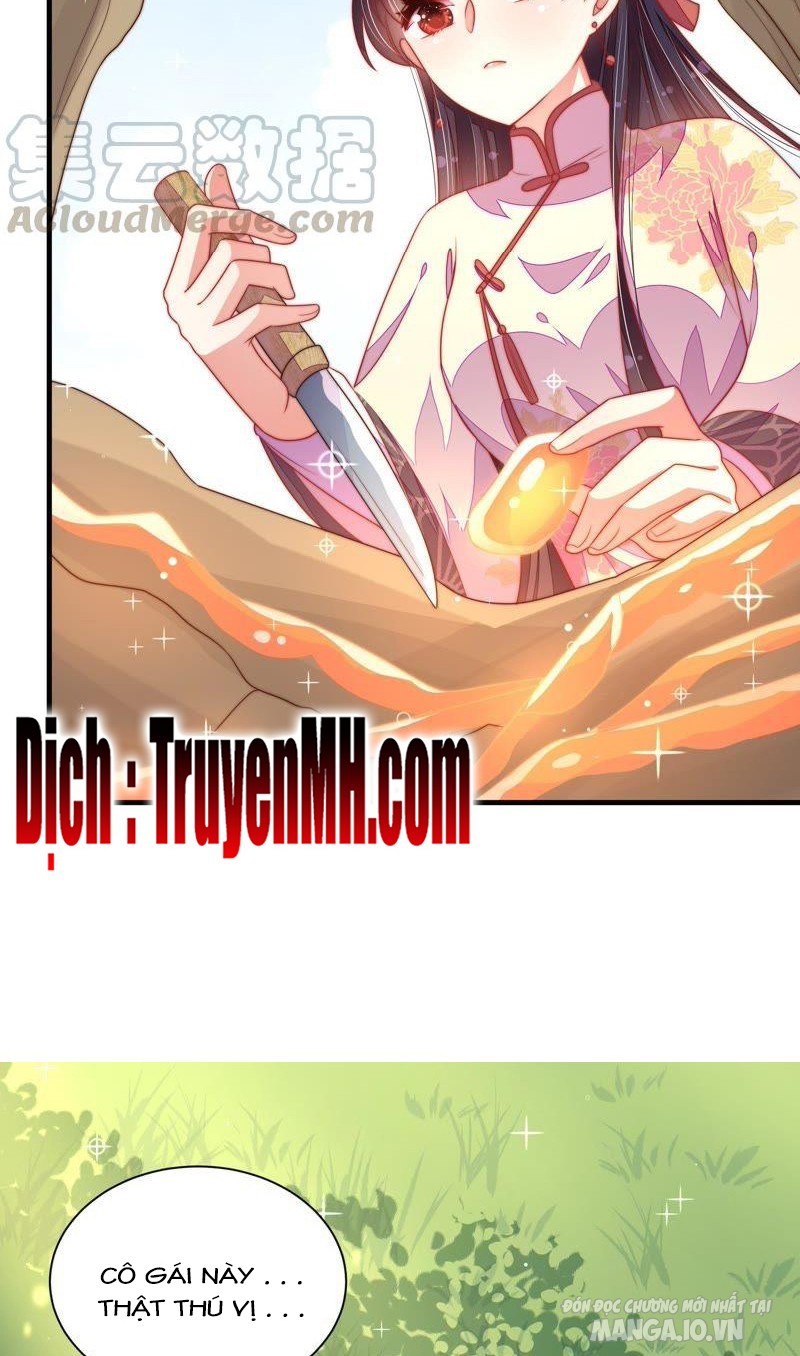 Ngày Nào Thiếu Soái Cũng Ghen Chapter 222 - Trang 2