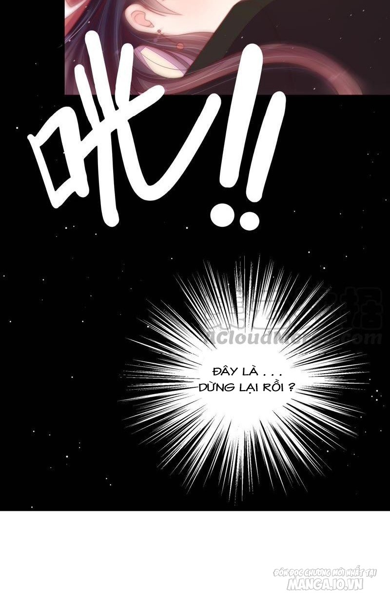 Ngày Nào Thiếu Soái Cũng Ghen Chapter 223 - Trang 2