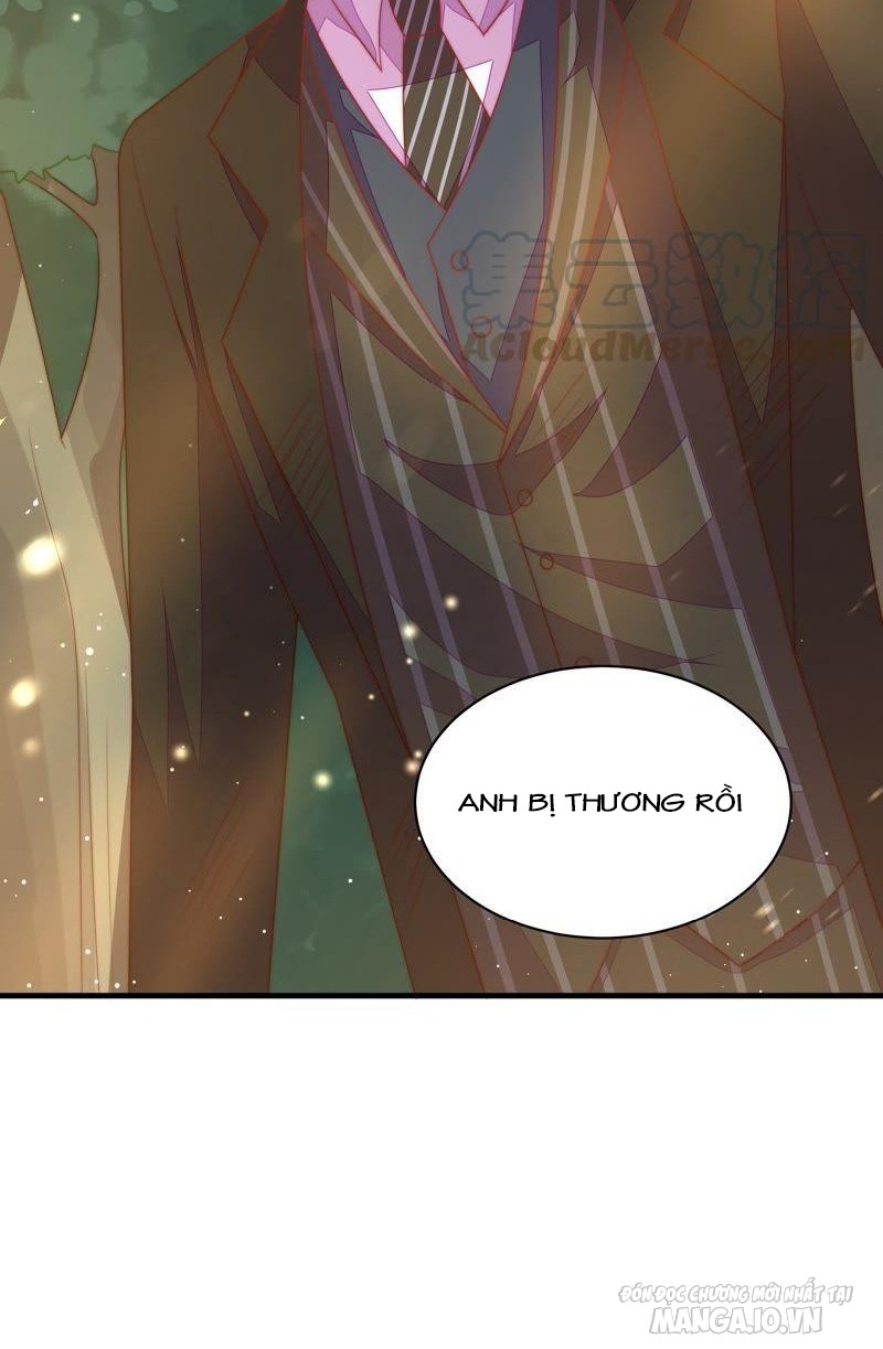 Ngày Nào Thiếu Soái Cũng Ghen Chapter 223 - Trang 2