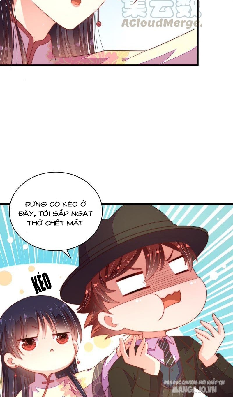 Ngày Nào Thiếu Soái Cũng Ghen Chapter 225 - Trang 2