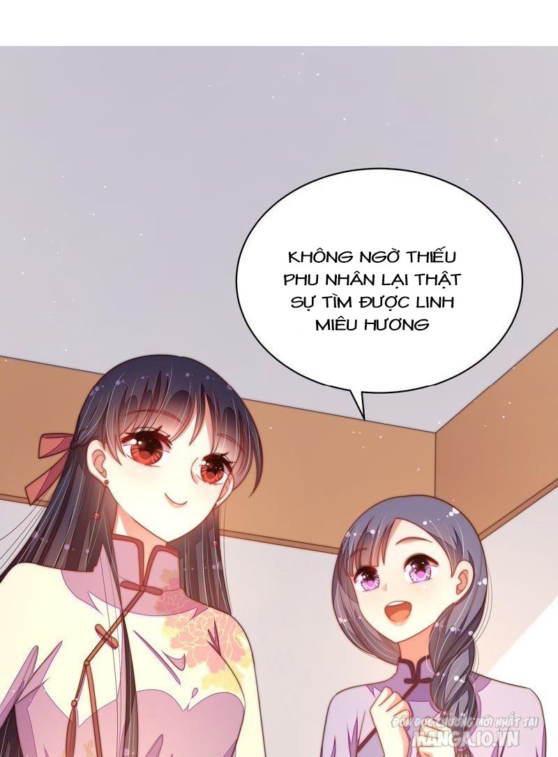 Ngày Nào Thiếu Soái Cũng Ghen Chapter 226 - Trang 2