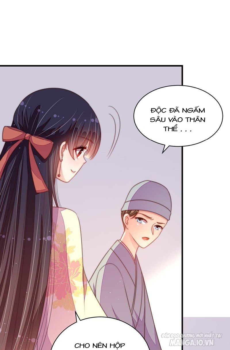Ngày Nào Thiếu Soái Cũng Ghen Chapter 228 - Trang 2