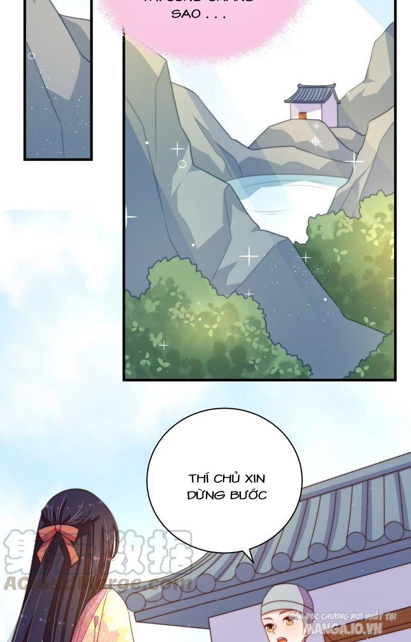 Ngày Nào Thiếu Soái Cũng Ghen Chapter 229 - Trang 2