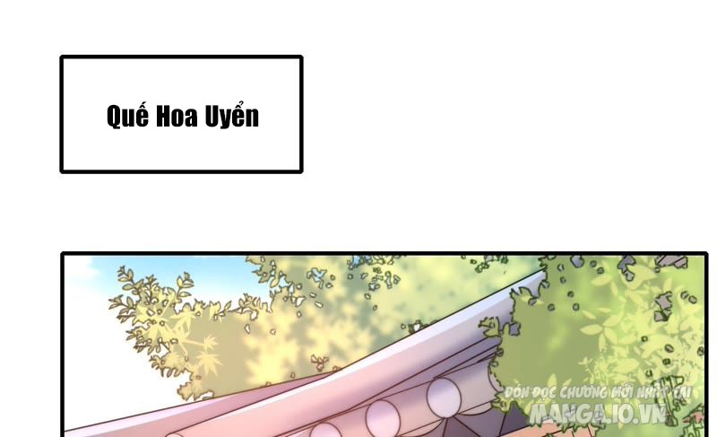 Ngày Nào Thiếu Soái Cũng Ghen Chapter 23 - Trang 2